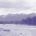 camera out the window in Whitefish, Montana