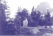 A mountain goat in Glacier National Park