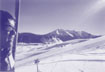 Corey in Crested Butte, CO
