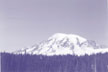 Mt. Reineer